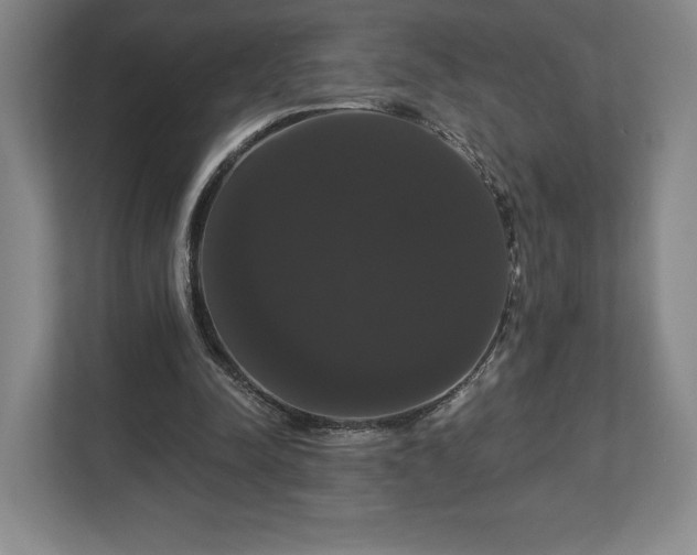X0000113060342200909041042