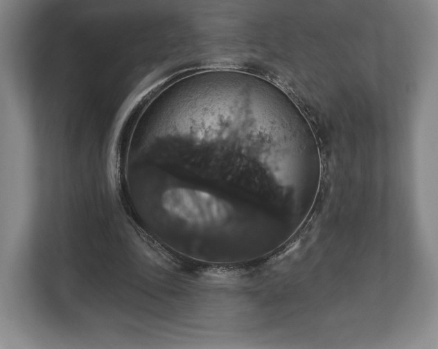 X0000113060343200909041042