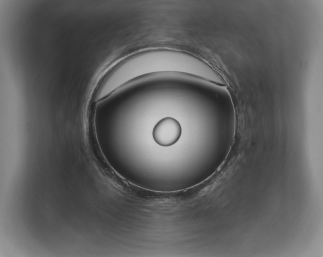 X0000113060344200909041042
