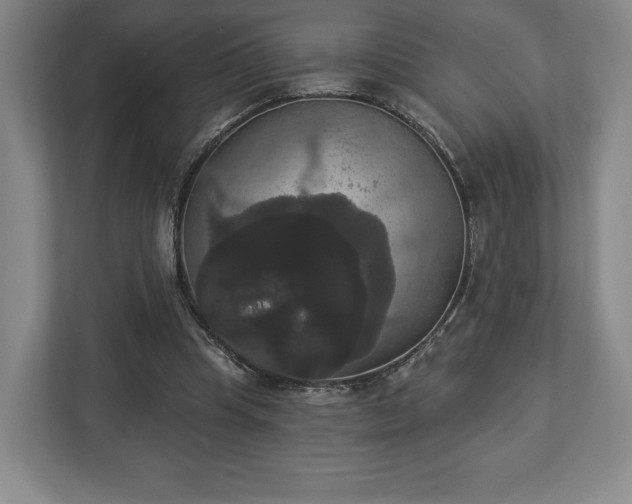 X0000113060345200909041042