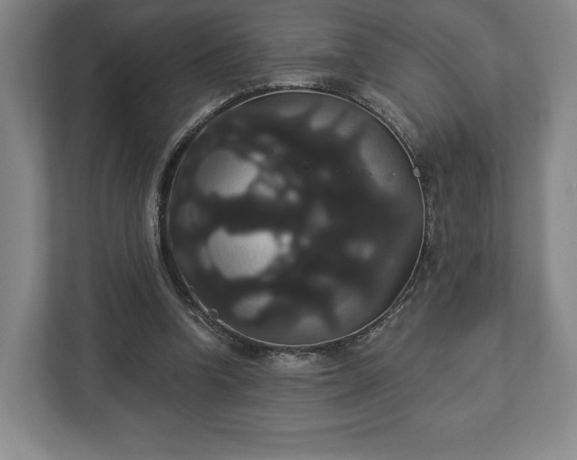 X0000113060346200909041042