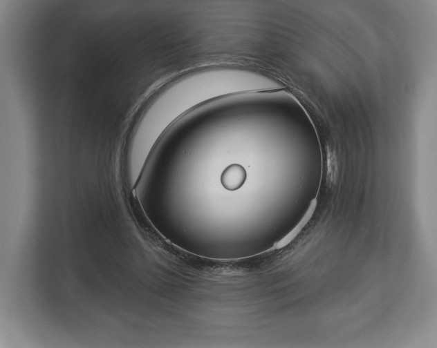 X0000113060348200909041042