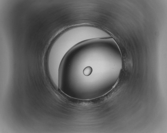 X0000113060350200909041042