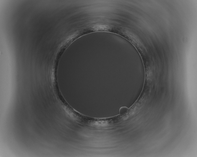 X0000113060353200909041042