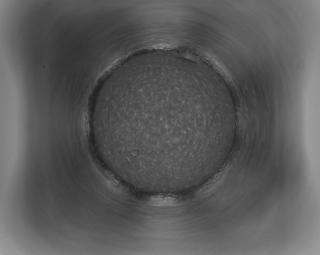 X0000113060354200909041042