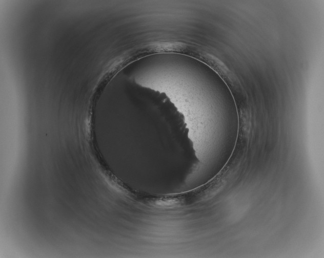 X0000113060357200909041042