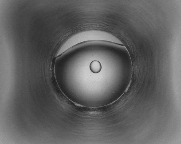 X0000113060360200909041042