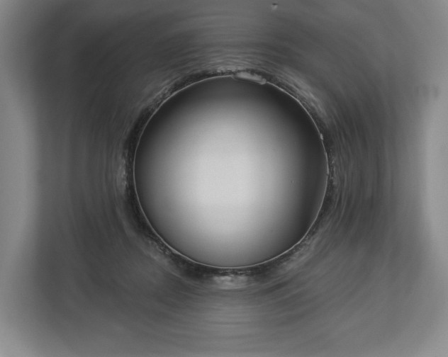 X0000113060362200909041042