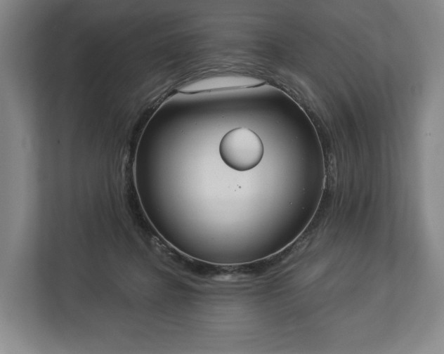 X0000113060364200909041042