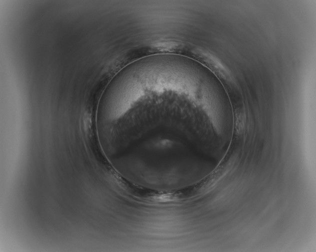 X0000113060365200909041042