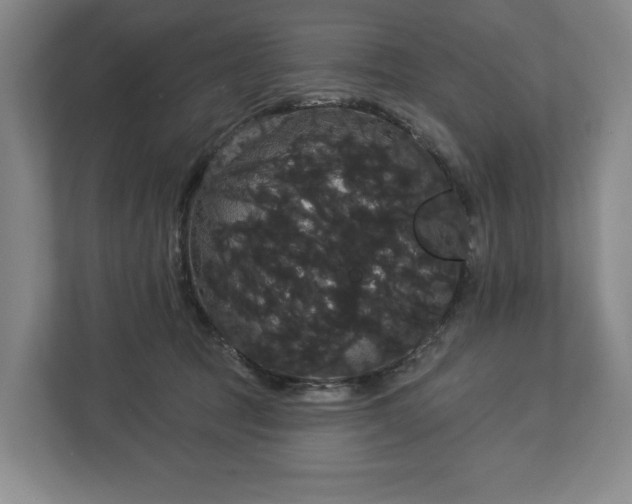 X0000113060369200909041042