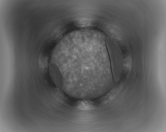X0000113060372200909041042