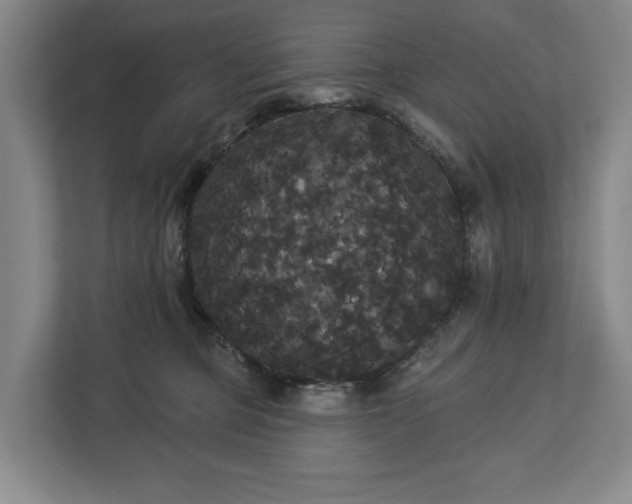 X0000113060373200909041042