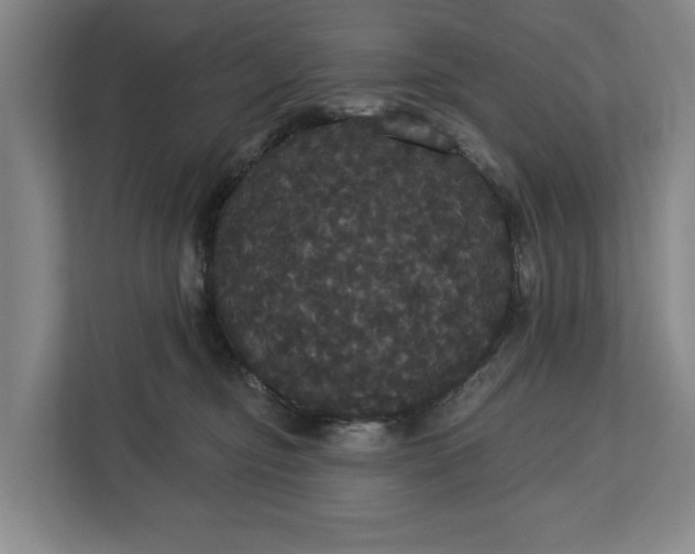 X0000113060374200909041042