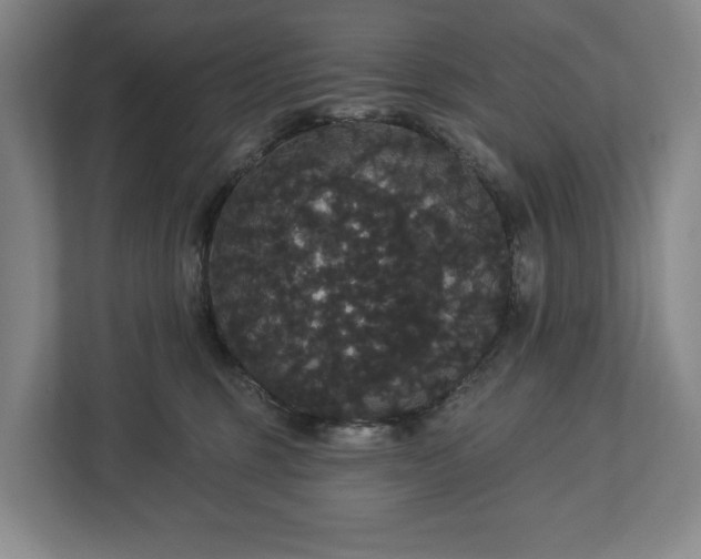X0000113060375200909041042
