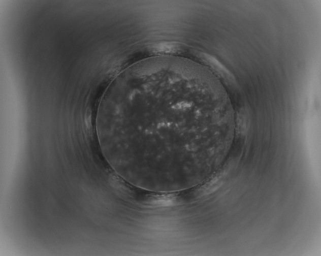 X0000113060377200909041043