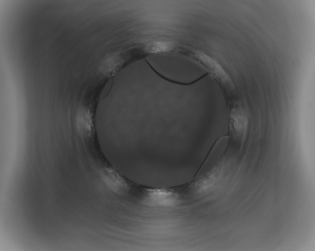 X0000113060380200909041043
