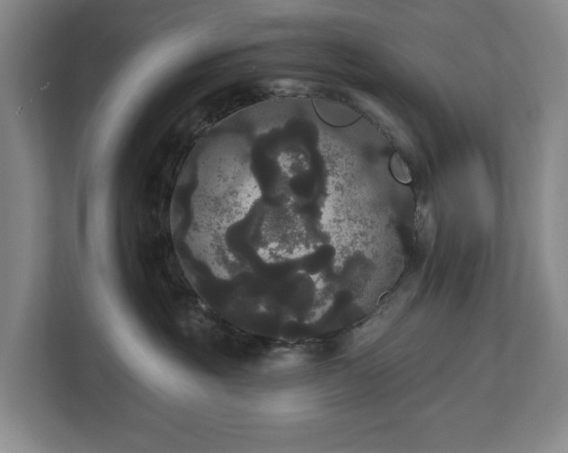 X0000113060381200909041043