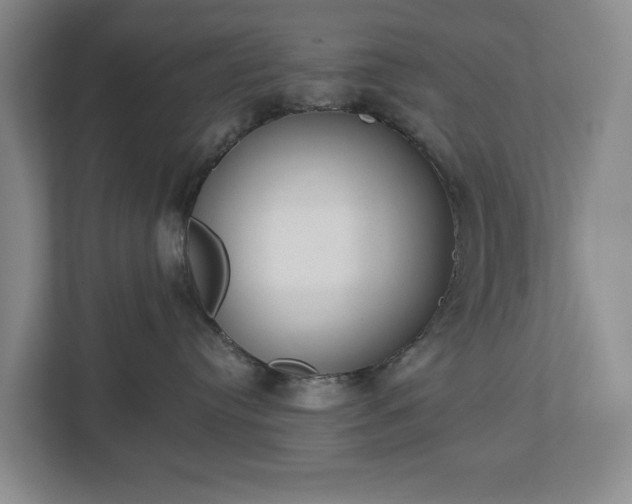 X0000113060384200909041043