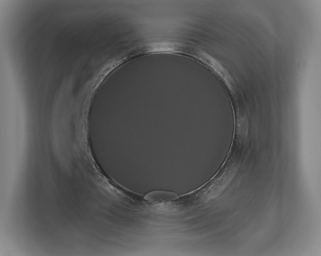 X0000113060385200909041042