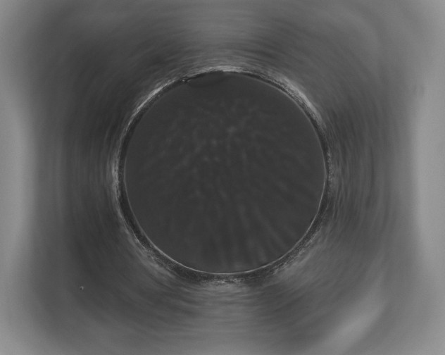 X0000113060386200909041042