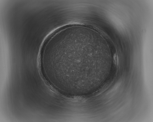 X0000113060388200909041042