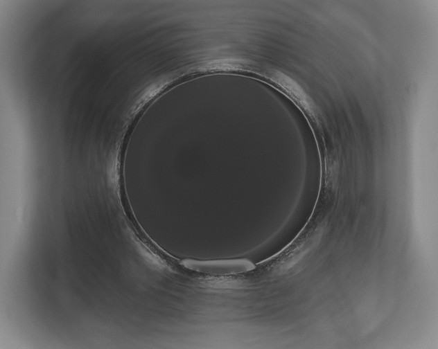 X0000113060389200909041042
