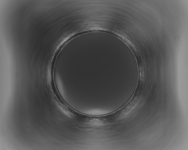 X0000113060390200909041042