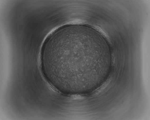 X0000113060392200909041042