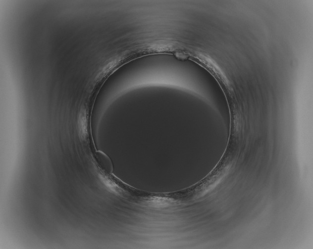X0000113060393200909041042