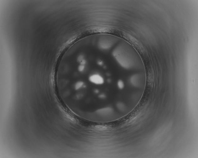 X0000113060394200909041042