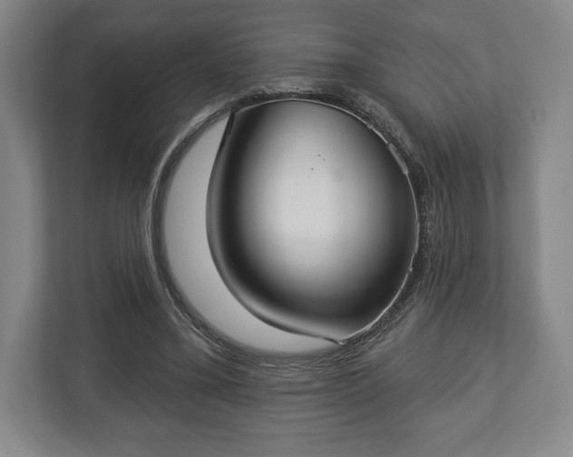 X0000113060395200909041042