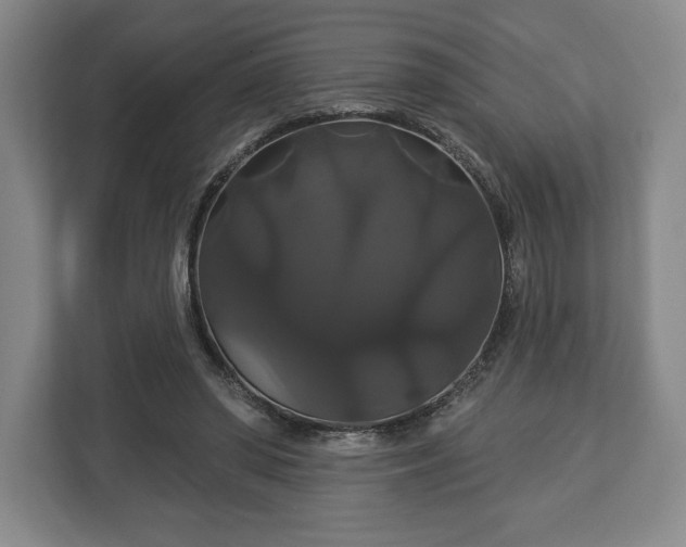 X0000113060398200909041042