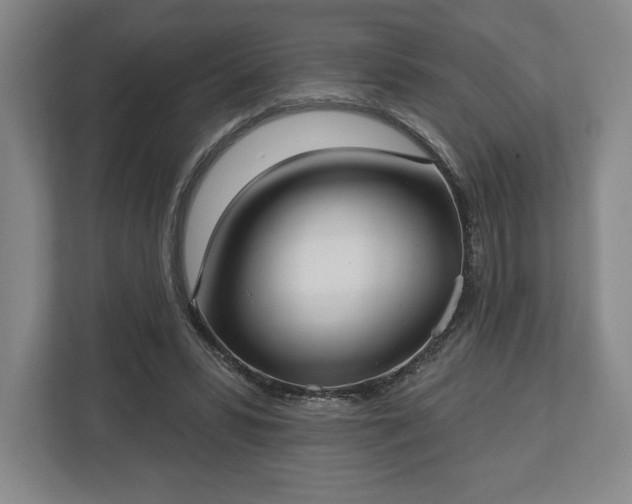 X0000113060399200909041042