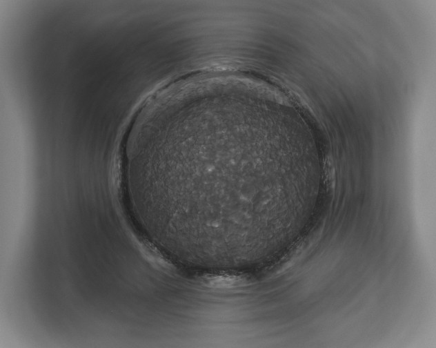 X0000113060400200909041042