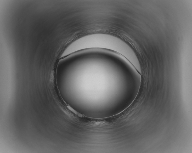 X0000113060401200909041042