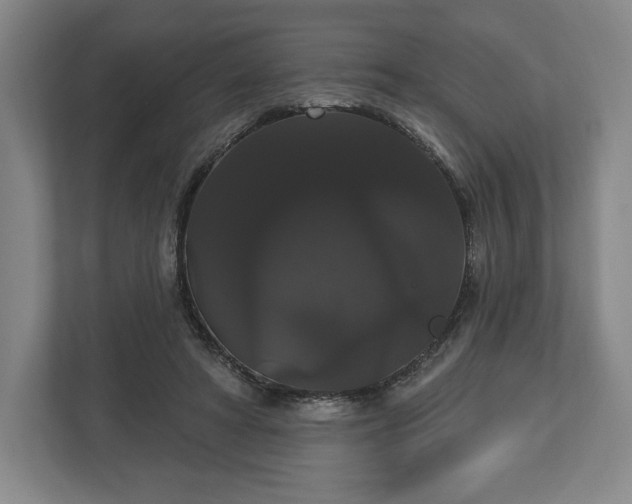 X0000113060402200909041042