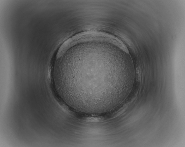 X0000113060404200909041042