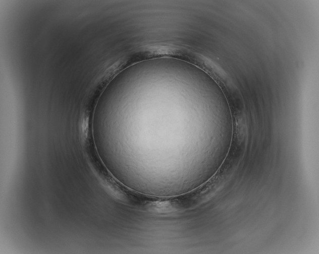 X0000113060406200909041042