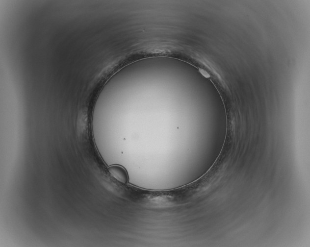 X0000113060407200909041042