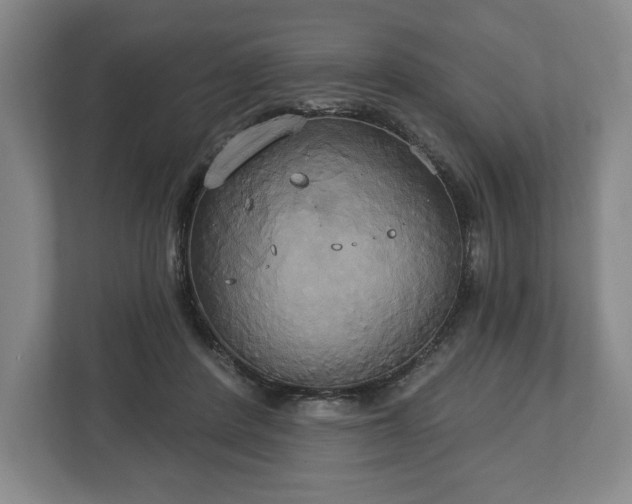 X0000113060408200909041042