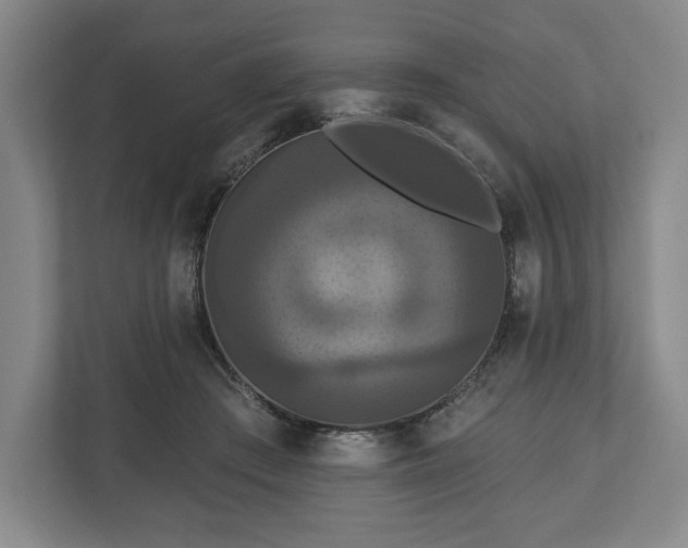 X0000113060409200909041042