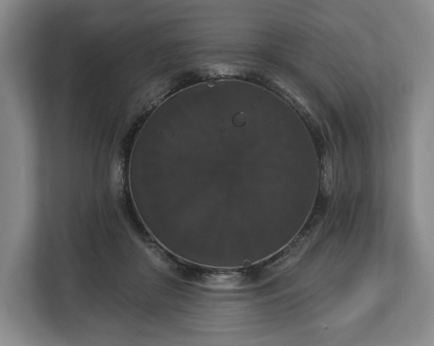 X0000113060410200909041042