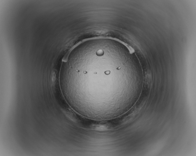 X0000113060412200909041042