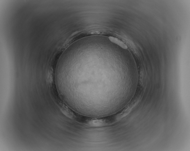 X0000113060413200909041042