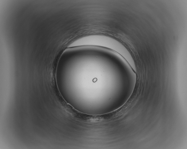 X0000113060415200909041042