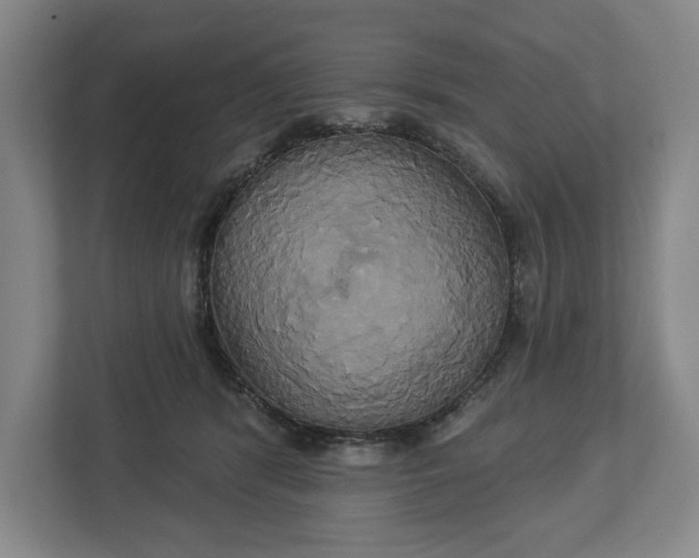 X0000113060416200909041042
