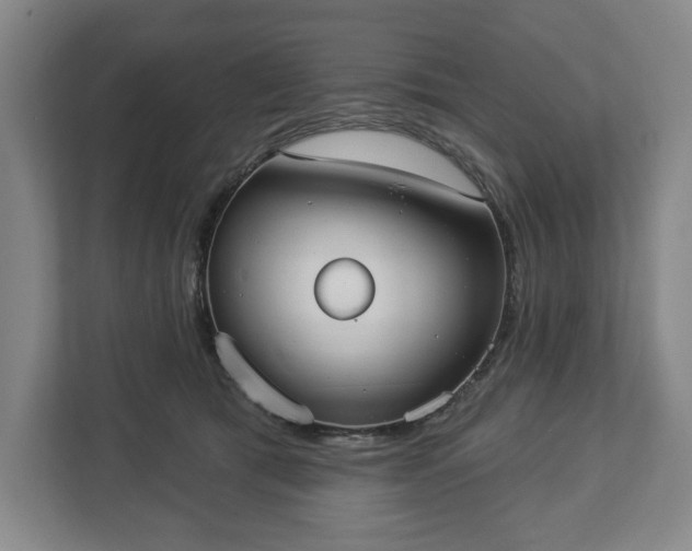 X0000113060417200909041042