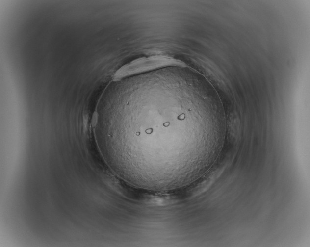 X0000113060420200909041042