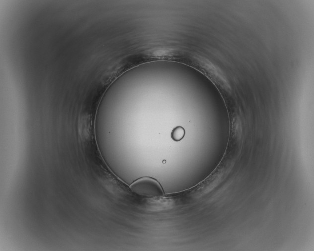 X0000113060421200909041042
